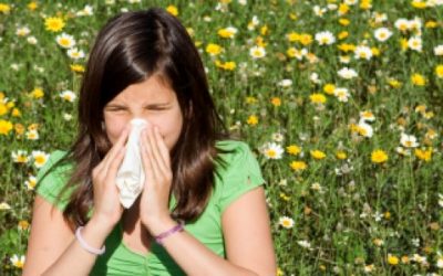 Relief From the Symptoms of Seasonal Allergies